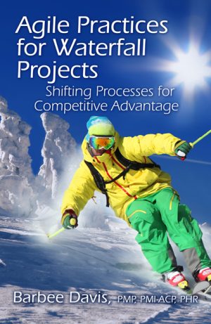 Agile Practices for Waterfall Projects-0