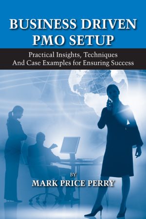 Business Driven PMO Setup-0